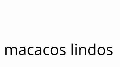 macacos lindos na minha opiniao