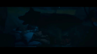 Assistir Coração Selvagem - Filme Grátis Online