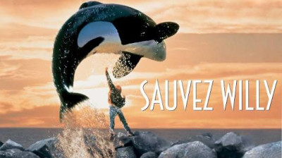 sauvez willy (1993)