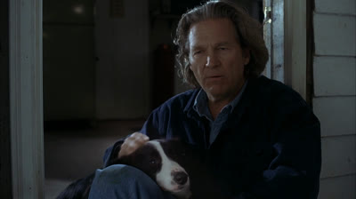 Um Ano do Cão (2009)