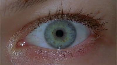 Resident Evil: O Hóspede Maldito 16 2002 ‧ Terror/Ação ‧ 1h 40m