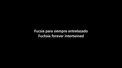 Taylor Swift - Pink Clouding [Subtitulado al español]