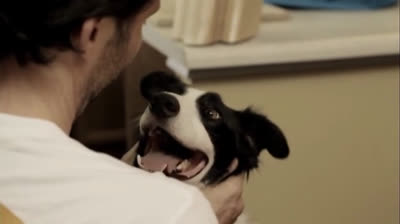 O Anjo Cachorro (2011)